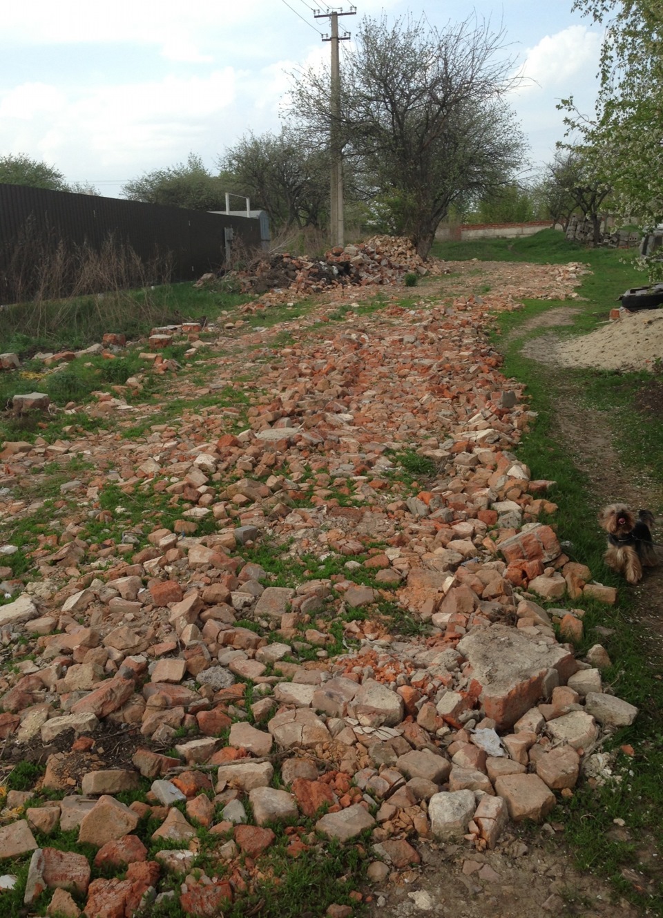 Я стала байкершей:-) — DRIVE2