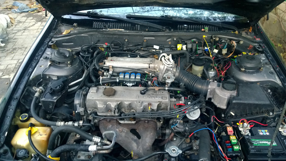 Мойка двигателя — Ford Probe, 2,2 л, 1990 года | мойка | DRIVE2