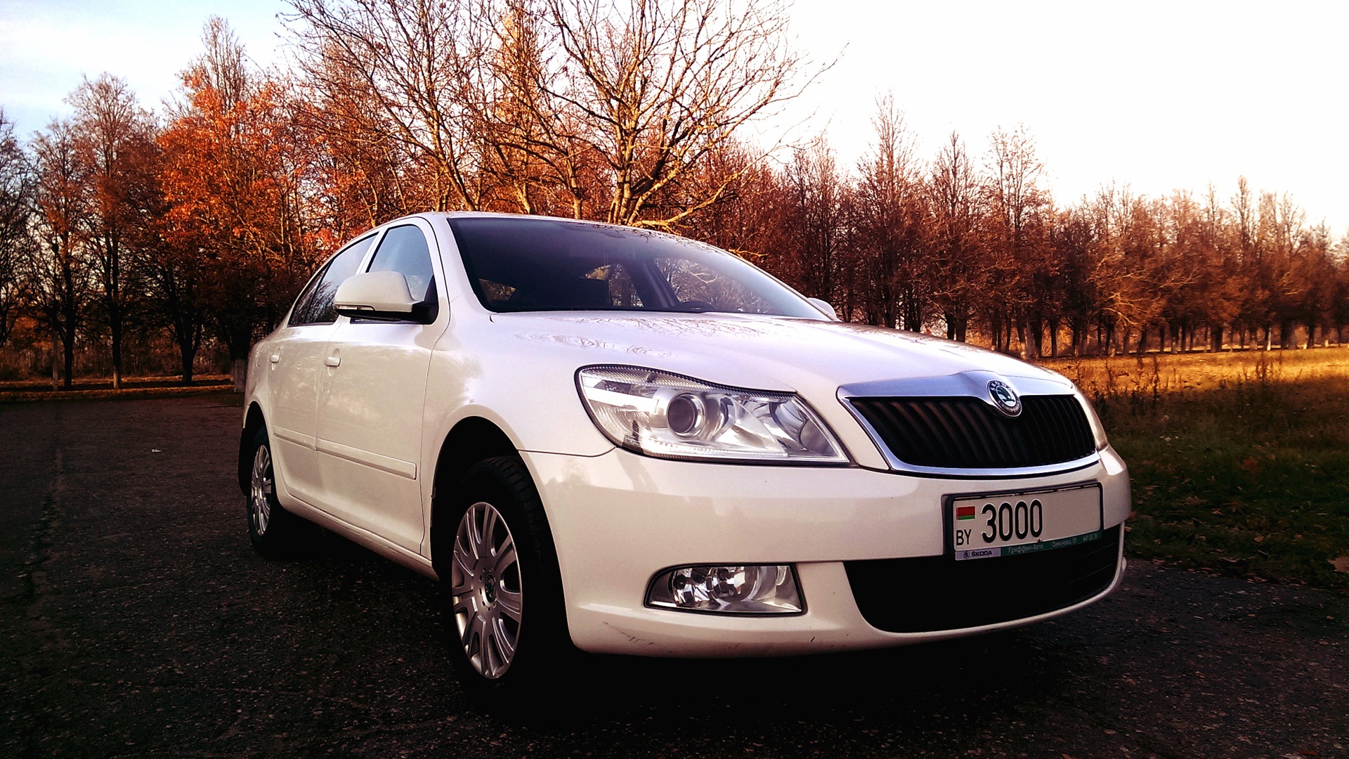 Skoda octavia двенадцатый год