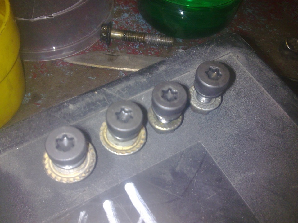 Болты для номера " Секретные"))) — Nissan Laurel (C35), 2 л, 2002 года ...