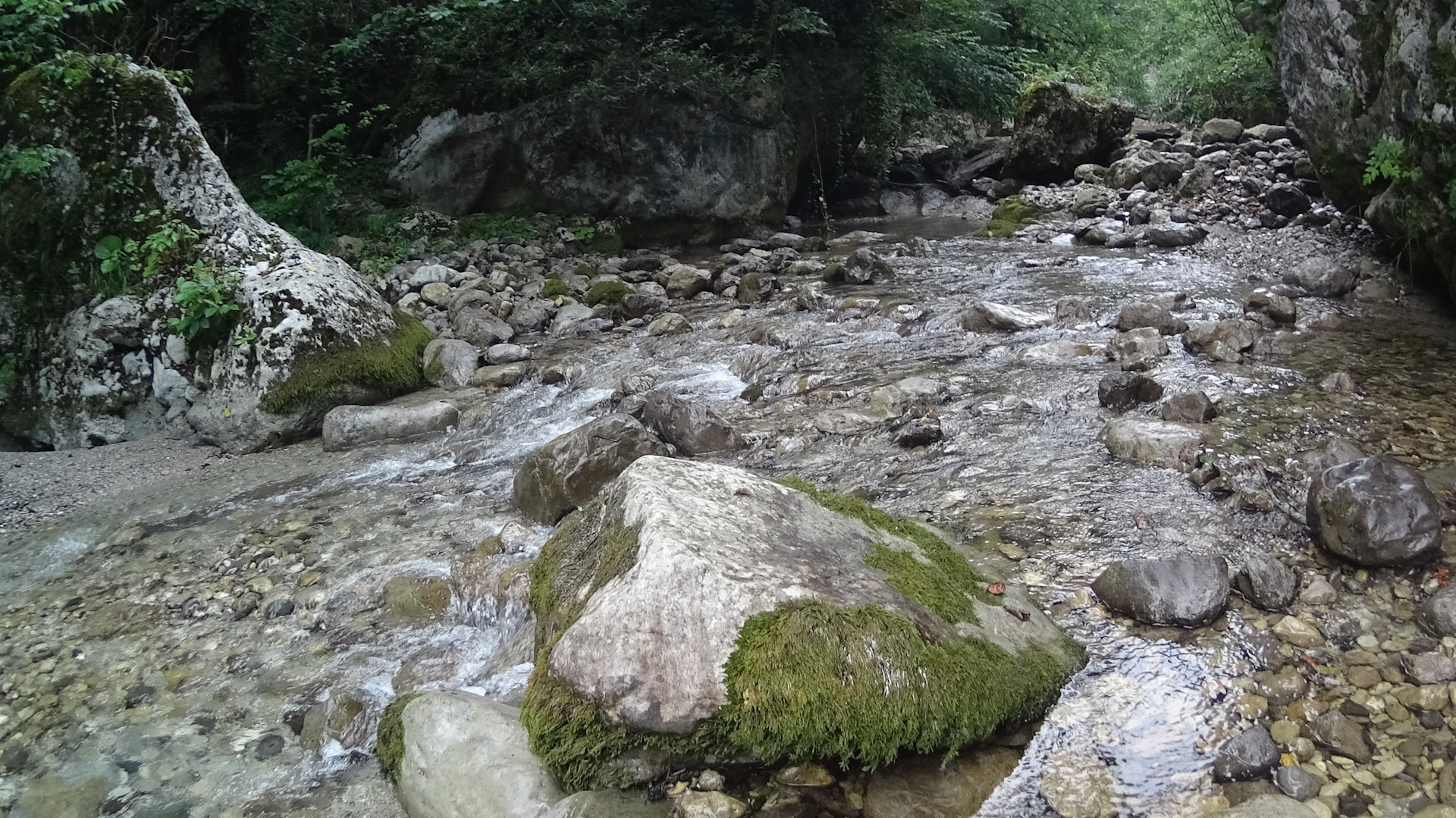 Спб абхазия. Жоэкварское ущелье водопад. Жоэкварский водопад Абхазия. Жоэкварский водопад Гагра Абхазия. Жоэкварское ущелье в Гаграх водопад.