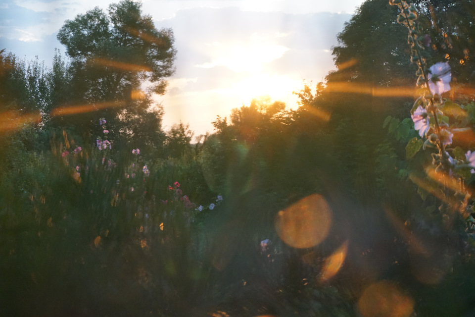 Фото в бортжурнале Nissan Murano II