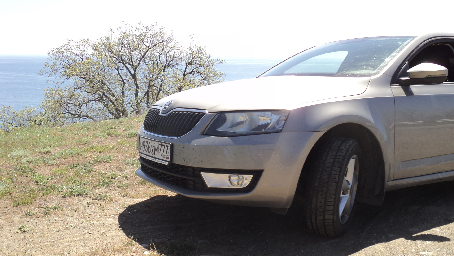 Шкода в крыму. Skoda Octavia Крым. Skoda Octavia Крым бункер.