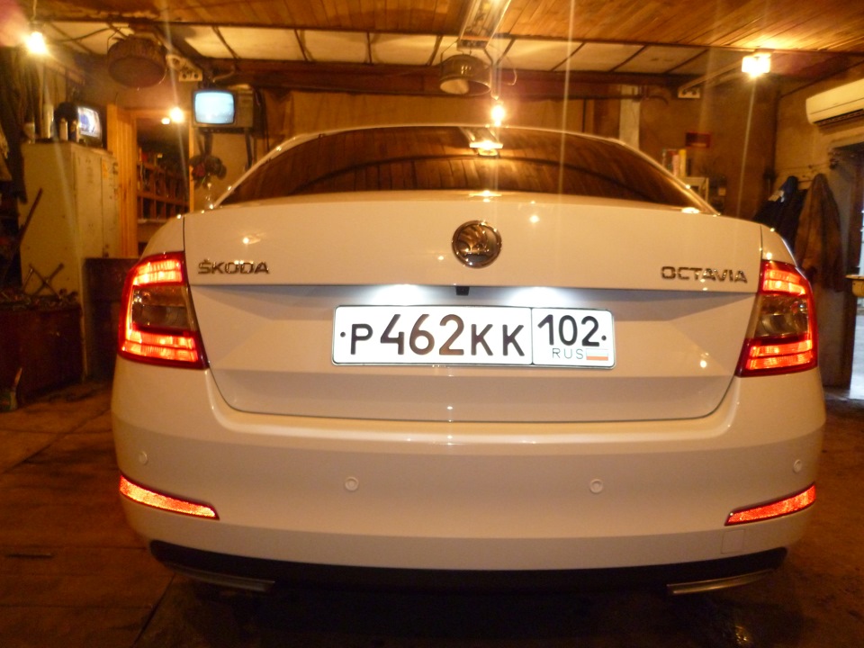 Фото в бортжурнале Skoda Octavia A7 Mk3