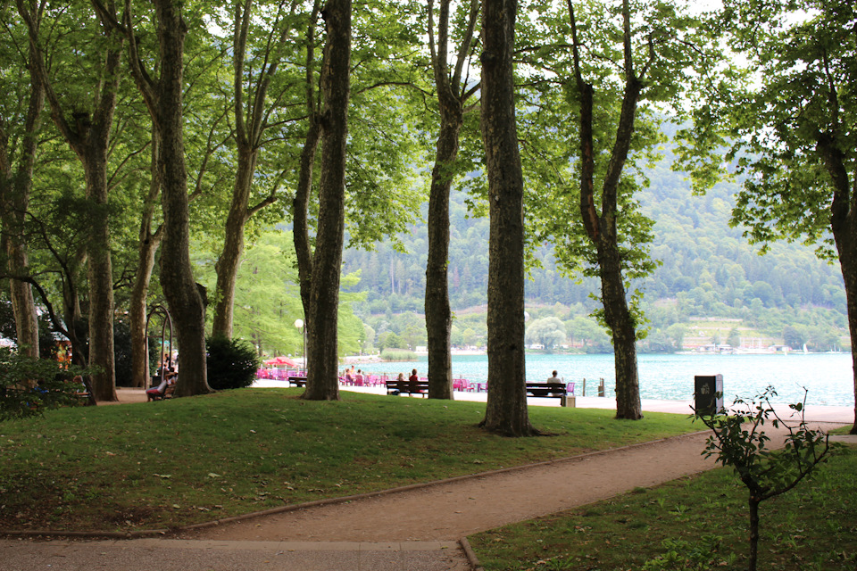 Фото в бортжурнале Audi A4 (B9)