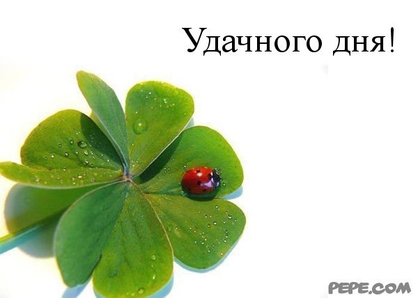 Картинки ХОРОШЕГО ДЕНЕЧКА И НАСТРОЕНИЯ КАРТИНКИ ПРИКОЛЬНЫЕ
