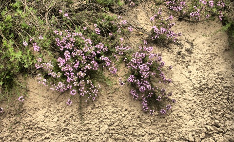 Фото в бортжурнале Mitsubishi L200 (4G)