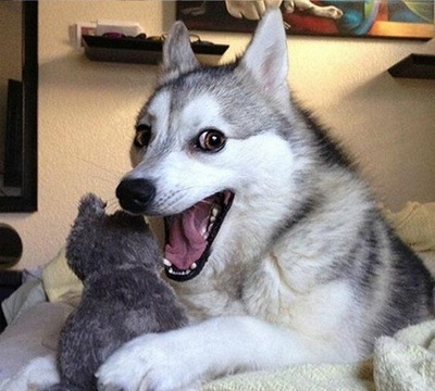 Фото в бортжурнале Mazda Demio (1G)