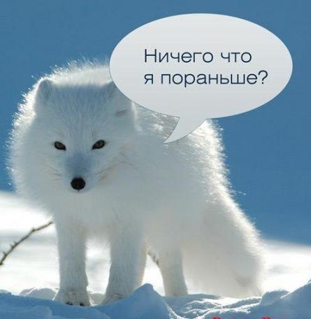 А ведь его никто не приглашал (((( — Suzuki Jimny (1G)