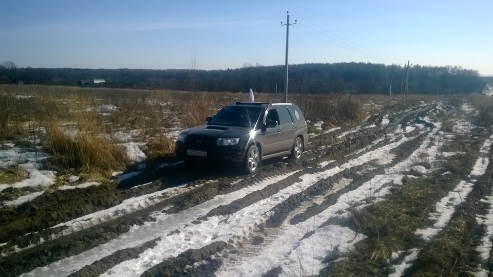 Фото в бортжурнале Subaru Forester (SG)