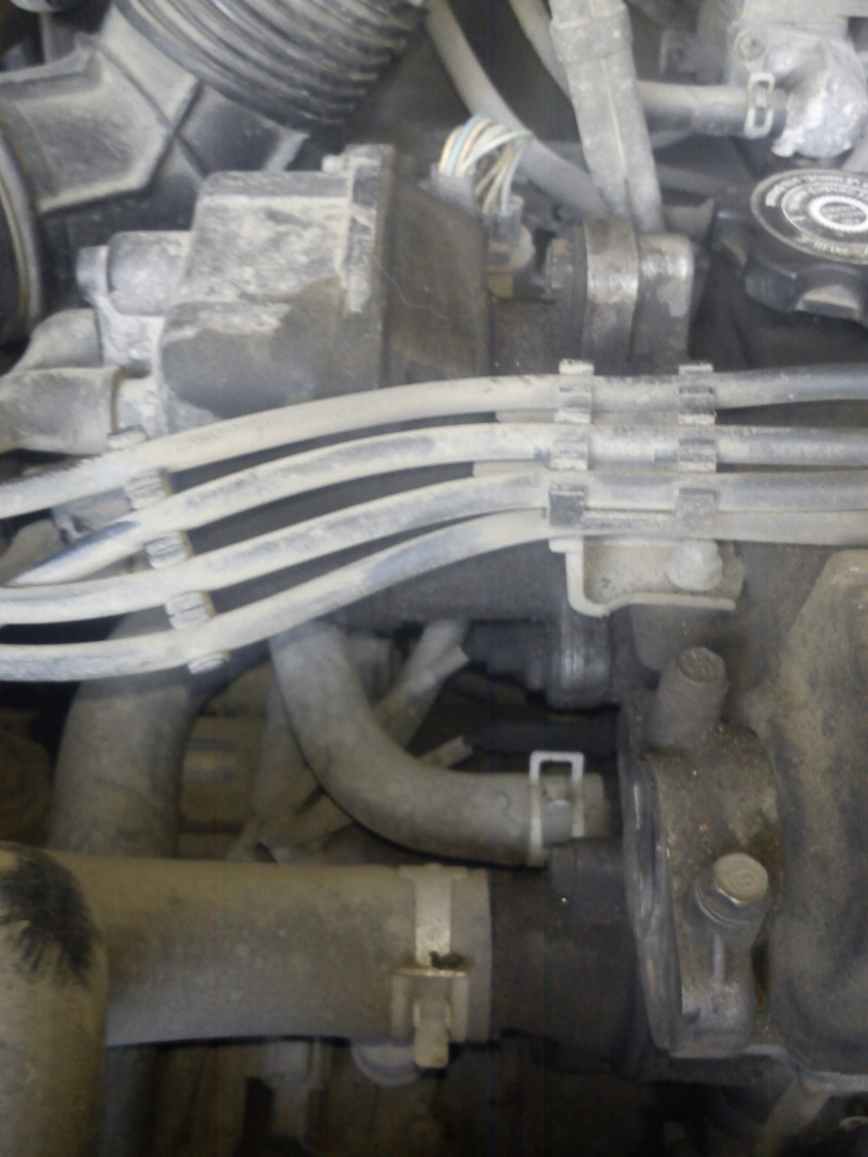 26. Замена масла и то что рядом — Honda CR-V (RD1, RD2), 2 л, 1998 года ...