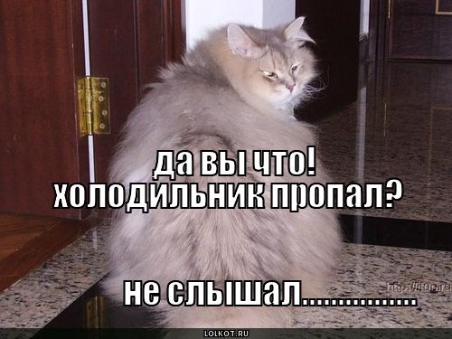 Пропади все пропадом картинка