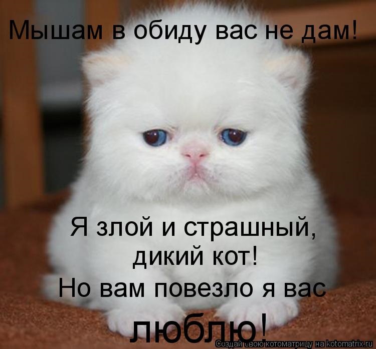 Я тебя люблю не обижайся на меня картинки с надписями