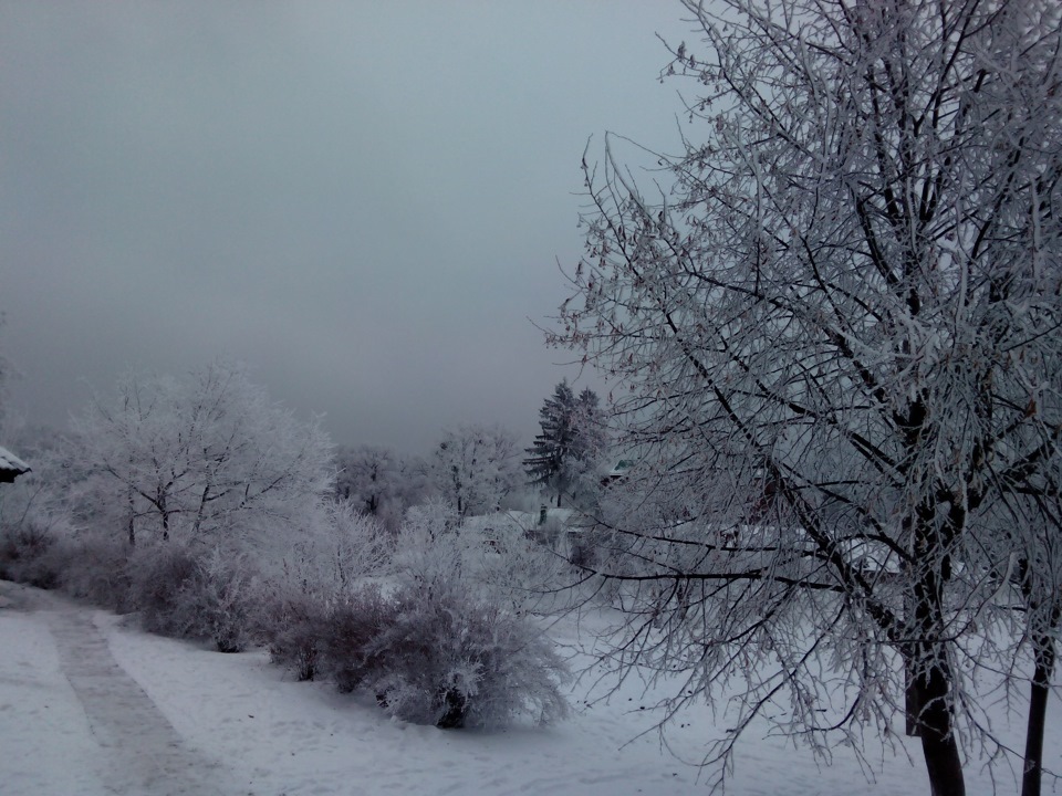 Зима пришла и все укутала белым одеялом. — Nissan Patrol (W160), 2,8 л ...