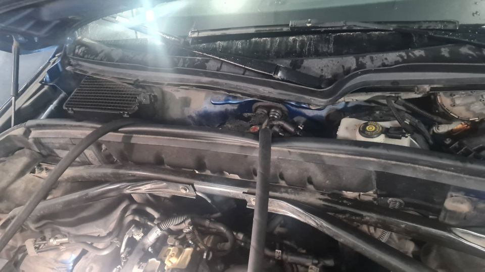 Промывали Лавром — Audi Q5 (1G)