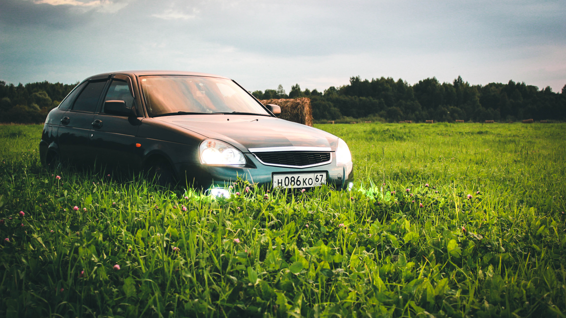 Lada на природе