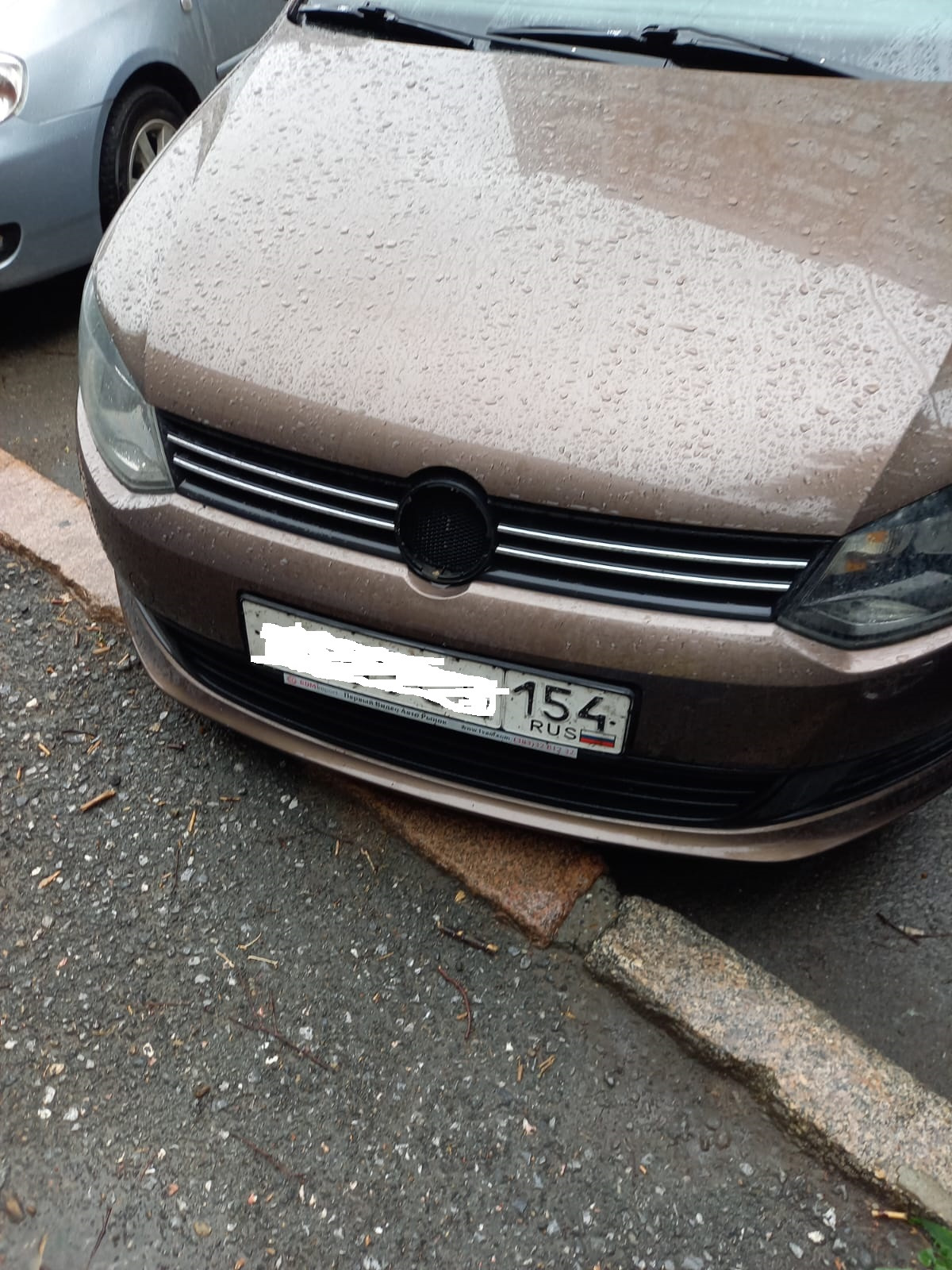 Шильд решетки радиатора. — Volkswagen Polo Sedan, 1,6 л, 2015 года ...