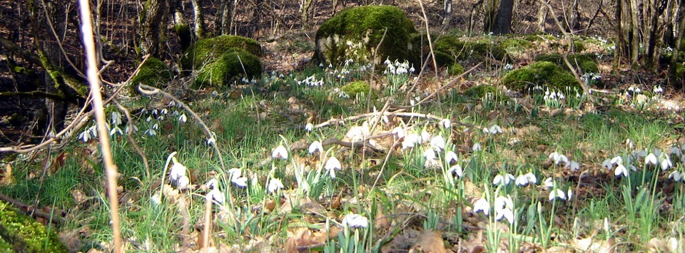 Фото в бортжурнале Volkswagen Polo Sedan