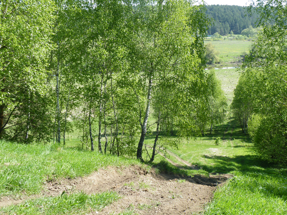 вот такая там красота — Nissan Patrol (Y61)