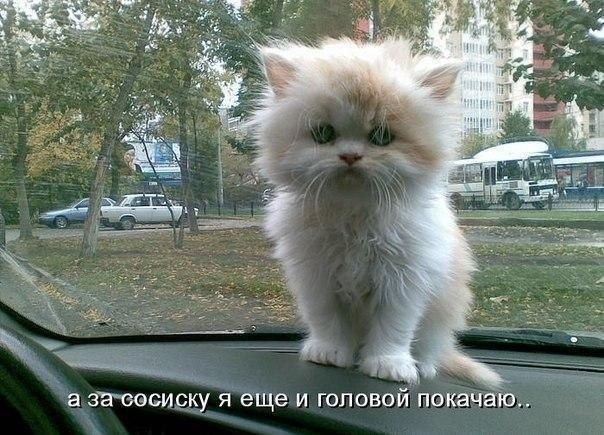 Картинки, не грусти все будет хорошо картинки