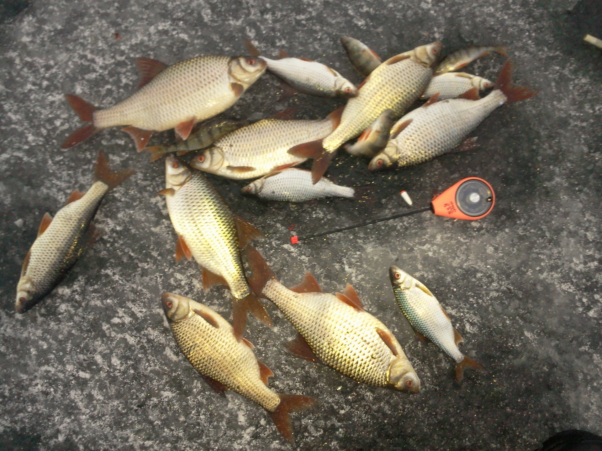 Зимняя рыбалка на туймазинском водохранилище