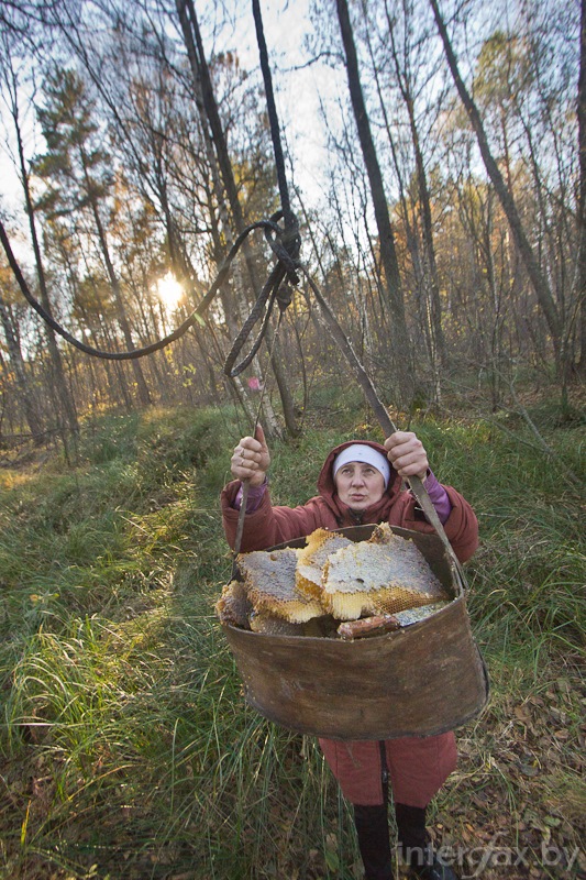 Василий колодный фото