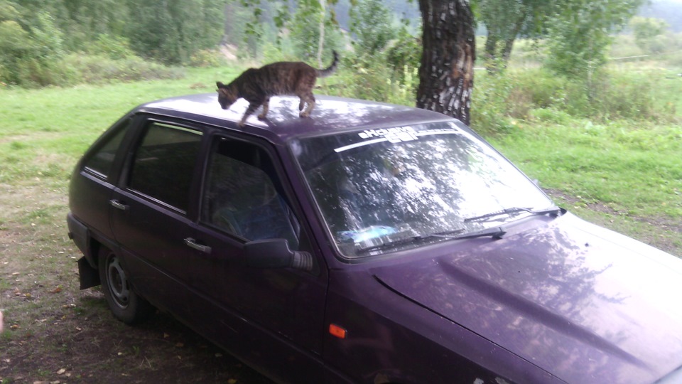 Как прочитать состав смеси карбюратора — ИЖ 2126, 1,6 л, 2004 года ...