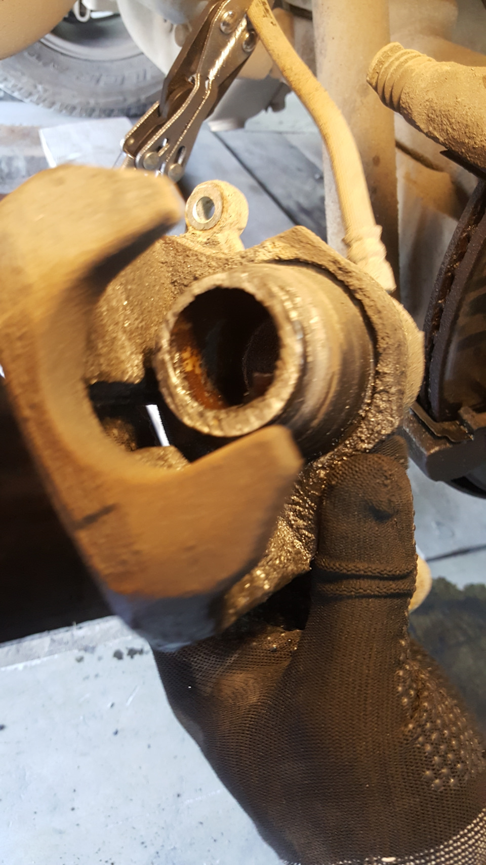 На охоту еду на старом друге Дастере или про важность своевременной ...