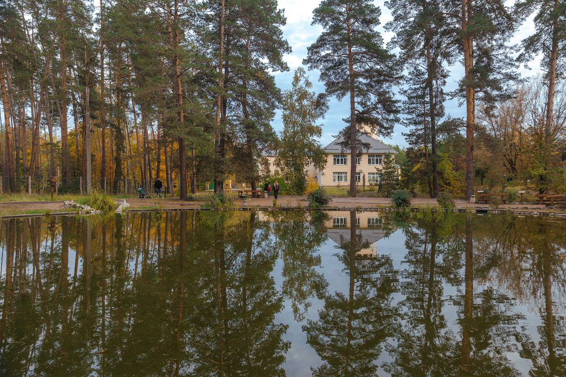 Графский заповедник воронеж фото