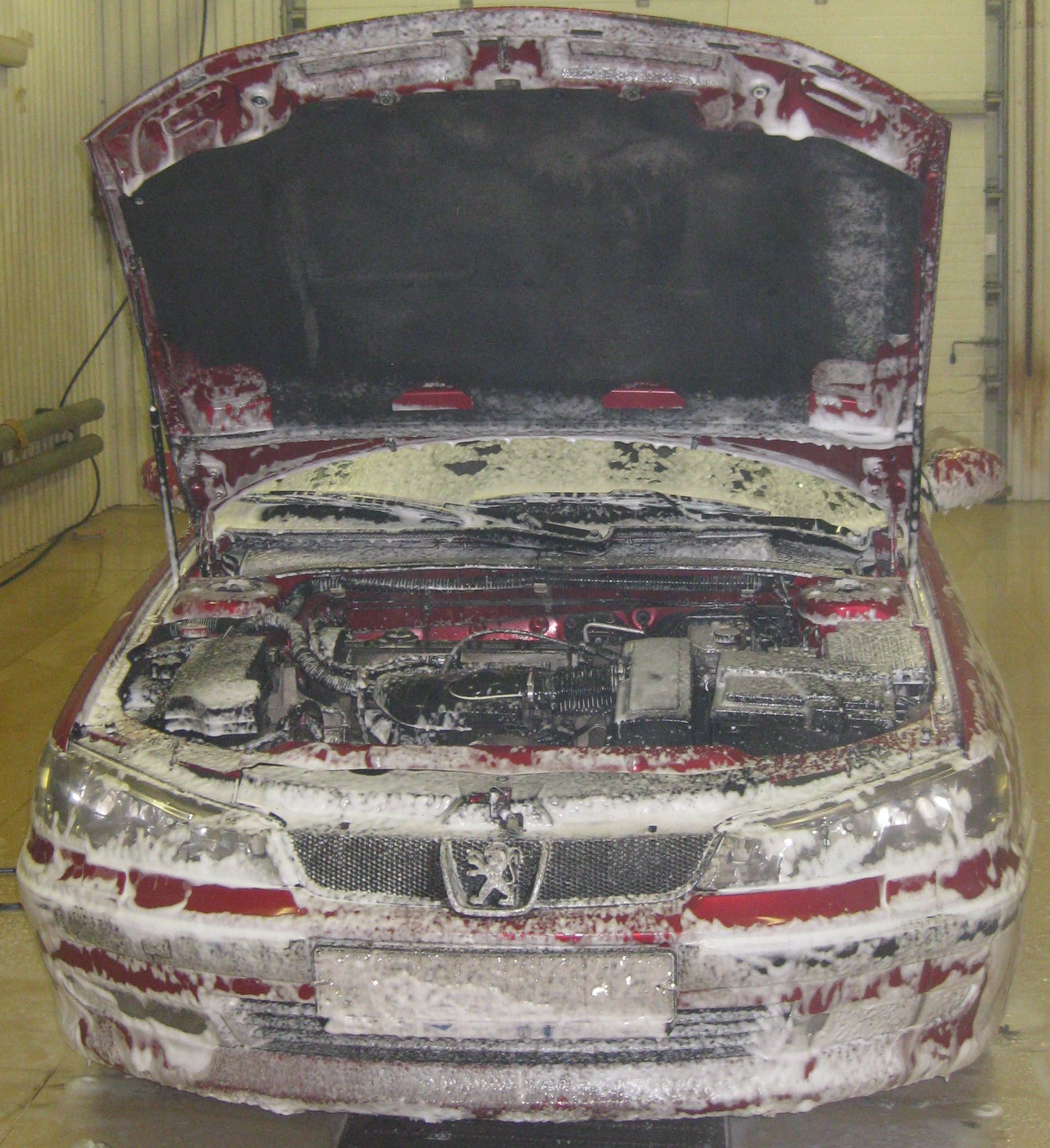 - - Toyota Prius 15 2006