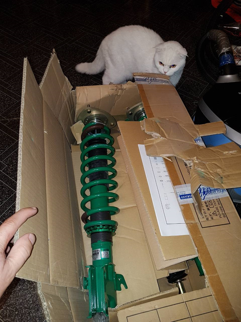 Вот этот подлец. Задушить не разрешили — Subaru Forester (SG)