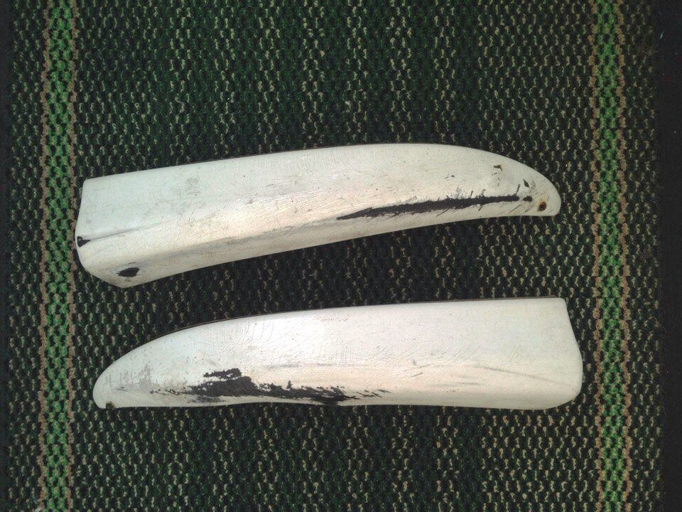 клык toyota 5210335902. тойота филдер 120 клыки переднего бампера. клыки на бампер на тойоту. клыки на бампер на тойоту. клыки на бампер на тойоту.