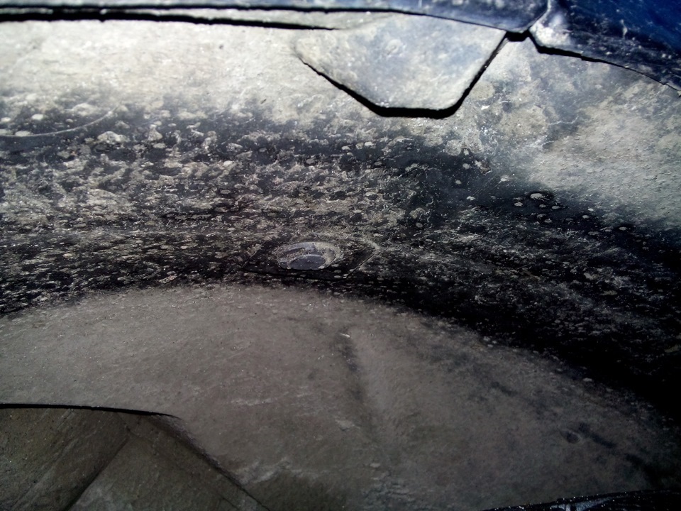 какая лампа в противотуманках ниссан тиида. Смотреть фото какая лампа в противотуманках ниссан тиида. Смотреть картинку какая лампа в противотуманках ниссан тиида. Картинка про какая лампа в противотуманках ниссан тиида. Фото какая лампа в противотуманках ниссан тиида какая лампа в противотуманках ниссан тиида. Смотреть фото какая лампа в противотуманках ниссан тиида. Смотреть картинку какая лампа в противотуманках ниссан тиида. Картинка про какая лампа в противотуманках ниссан тиида. Фото какая лампа в противотуманках ниссан тиида