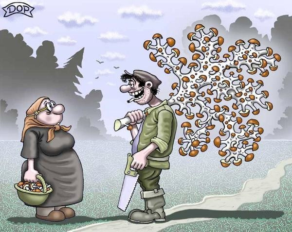 Картинки, картинки про грибников смешные