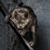 арпатек что это за материал. Смотреть фото арпатек что это за материал. Смотреть картинку арпатек что это за материал. Картинка про арпатек что это за материал. Фото арпатек что это за материал