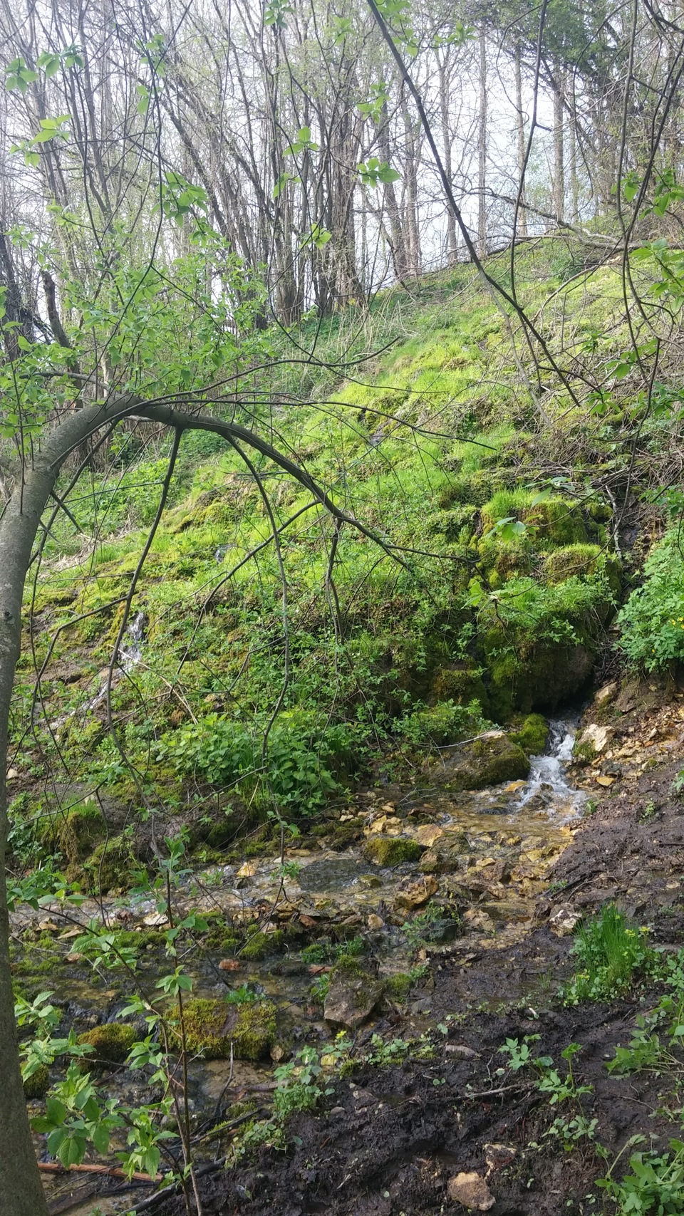 Серпухов водопад на Наре