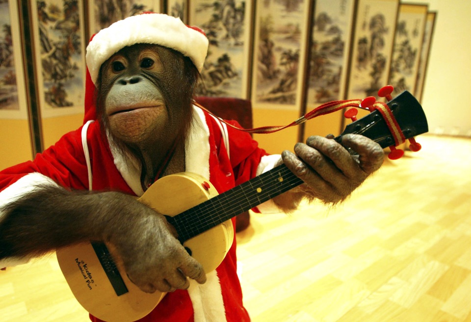 Новогодний костюм "Дед Мороз" для кошек и собак малых пород - купить с доставкой