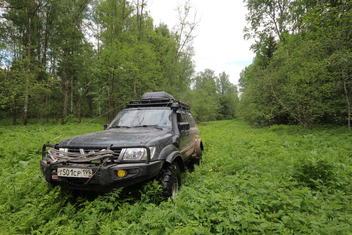 В дебрях Оленинского края – часть №1 — Nissan Patrol GR II (Y61), 6,5 л,  1999 года | покатушки | DRIVE2