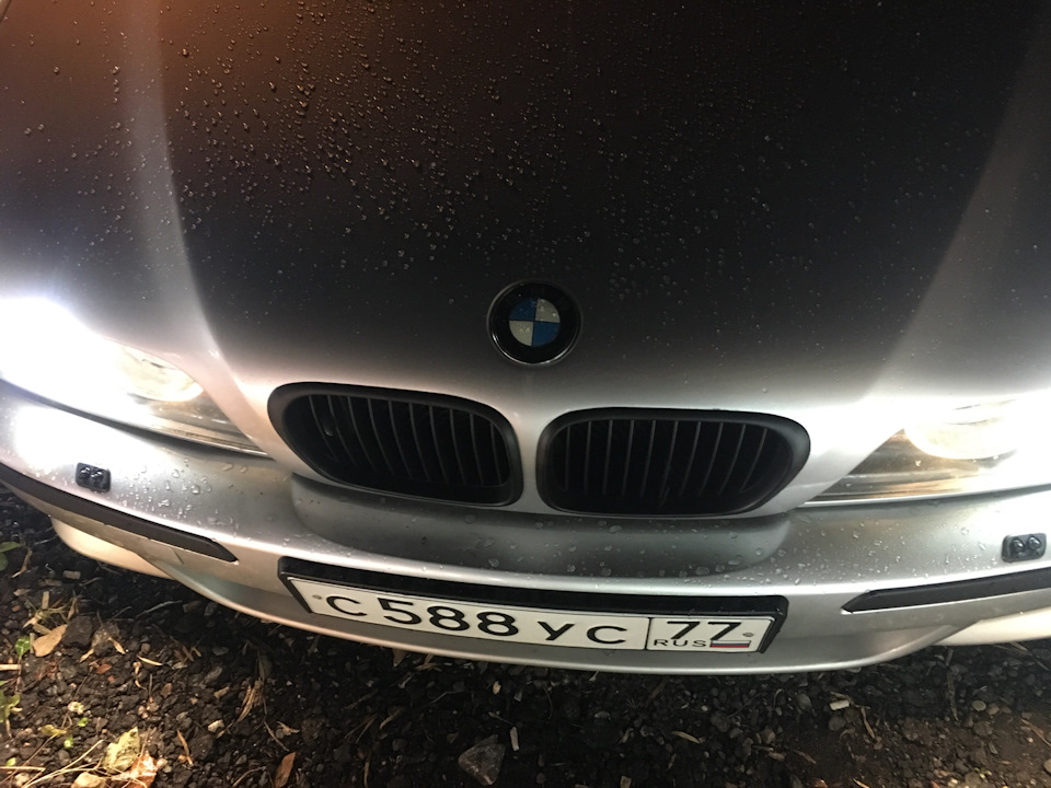 Ноздри — BMW 5 series (E39), 2,8 л, 1999 года | аксессуары | DRIVE2