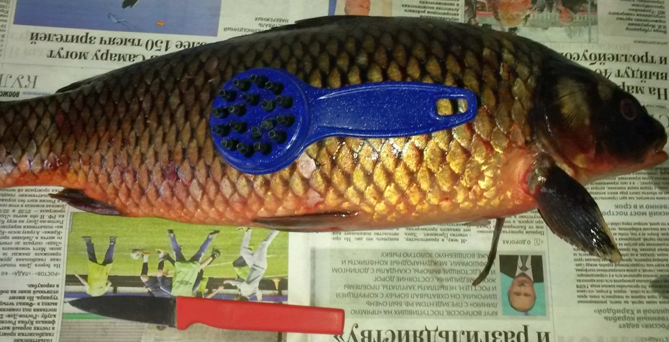 рыба хе рецепт приготовления в домашних условиях сазан. Смотреть фото рыба хе рецепт приготовления в домашних условиях сазан. Смотреть картинку рыба хе рецепт приготовления в домашних условиях сазан. Картинка про рыба хе рецепт приготовления в домашних условиях сазан. Фото рыба хе рецепт приготовления в домашних условиях сазан рыба хе рецепт приготовления в домашних условиях сазан. Смотреть фото рыба хе рецепт приготовления в домашних условиях сазан. Смотреть картинку рыба хе рецепт приготовления в домашних условиях сазан. Картинка про рыба хе рецепт приготовления в домашних условиях сазан. Фото рыба хе рецепт приготовления в домашних условиях сазан