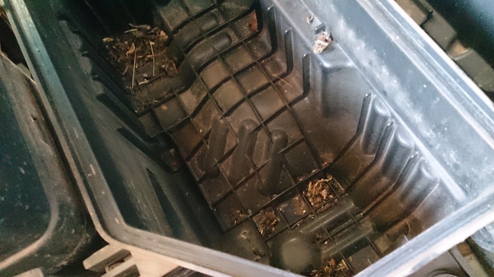 Фото в бортжурнале Hyundai Solaris Hatchback