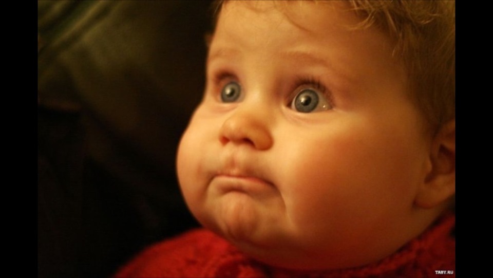 Чип тюнинг, где правда? — Volkswagen Tiguan (1G), 2 л., 2012 года ...