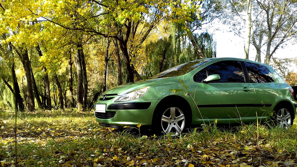 Нужен совет по автозвуку — Peugeot 307, 2 л, 2001 года | автозвук | DRIVE2