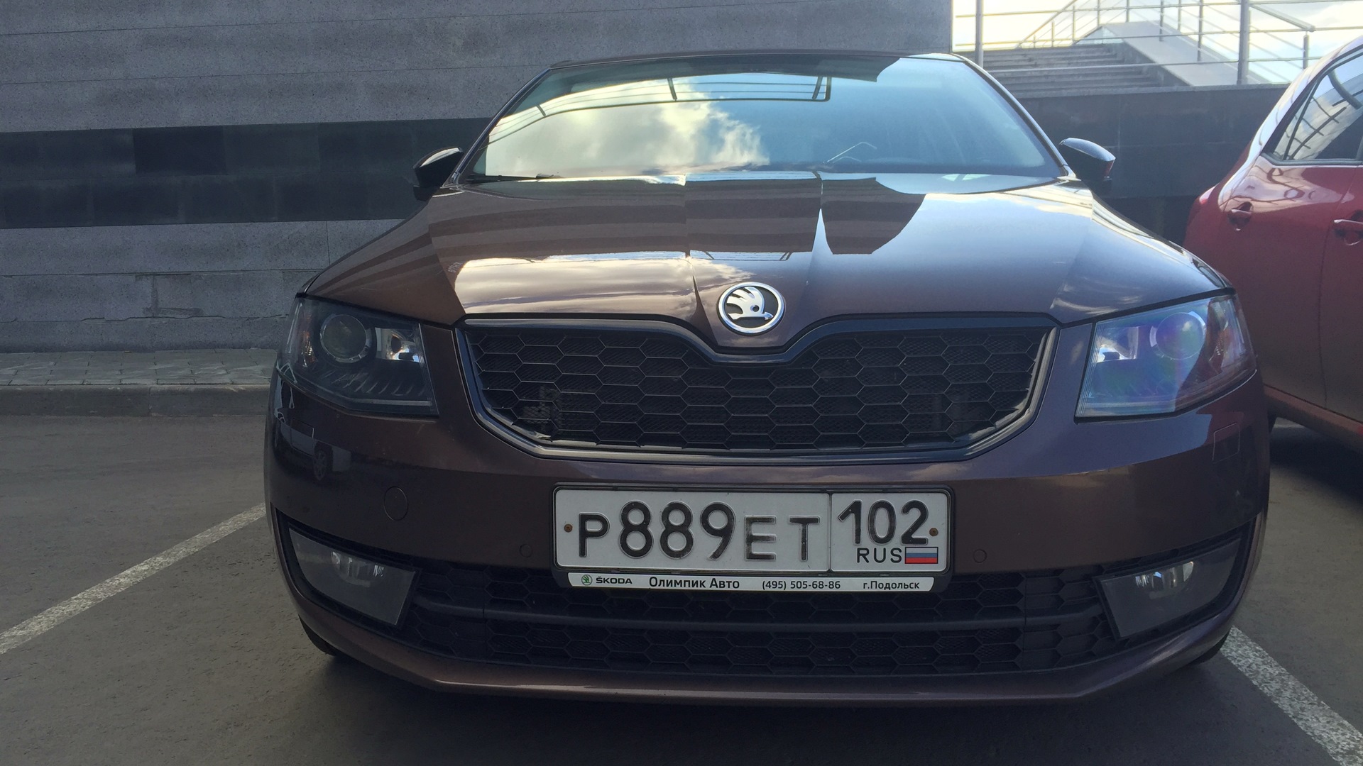 Skoda Octavia A7 Mk3 1.8 бензиновый 2013 | Doberman на DRIVE2