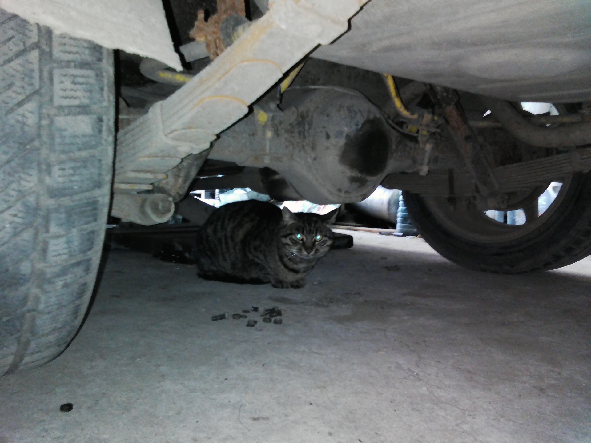 Замена вилки сцепления и шкива генератора. — Москвич 2140, 1,5 л, 1985 ...