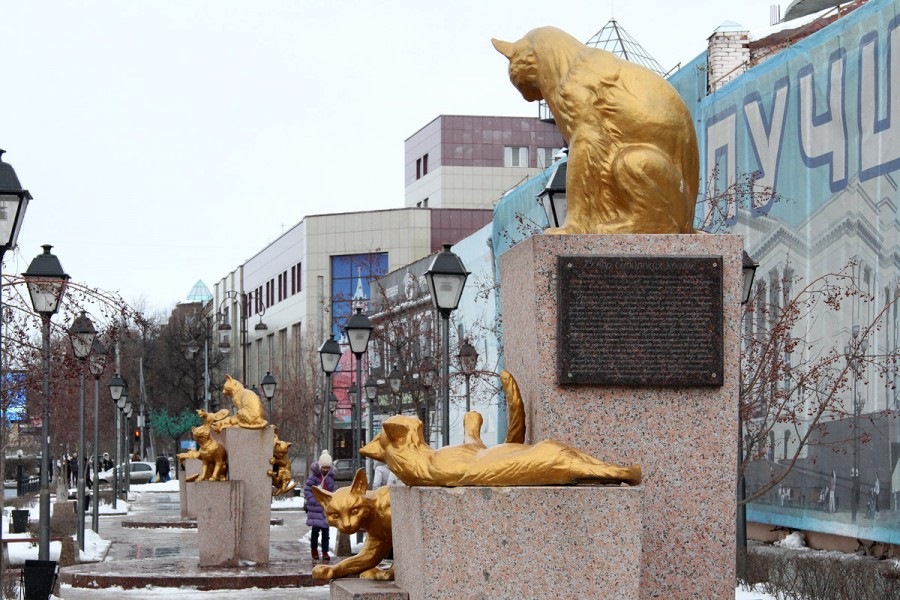 Сквер сибирских кошек тюмень