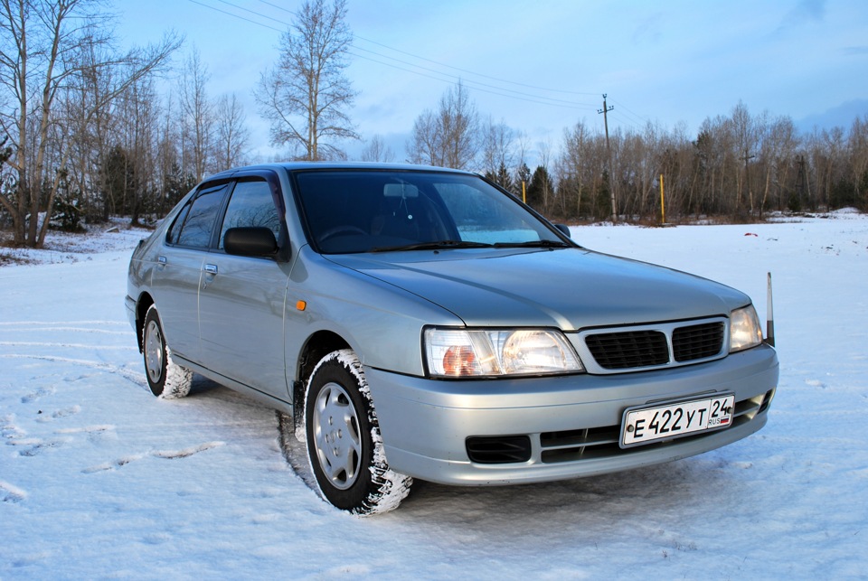 Nissan bluebird фото