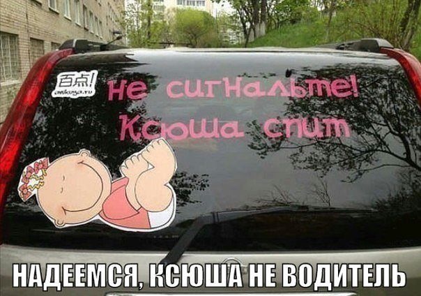 Ксюша дура картинки - Арт Минск.ру