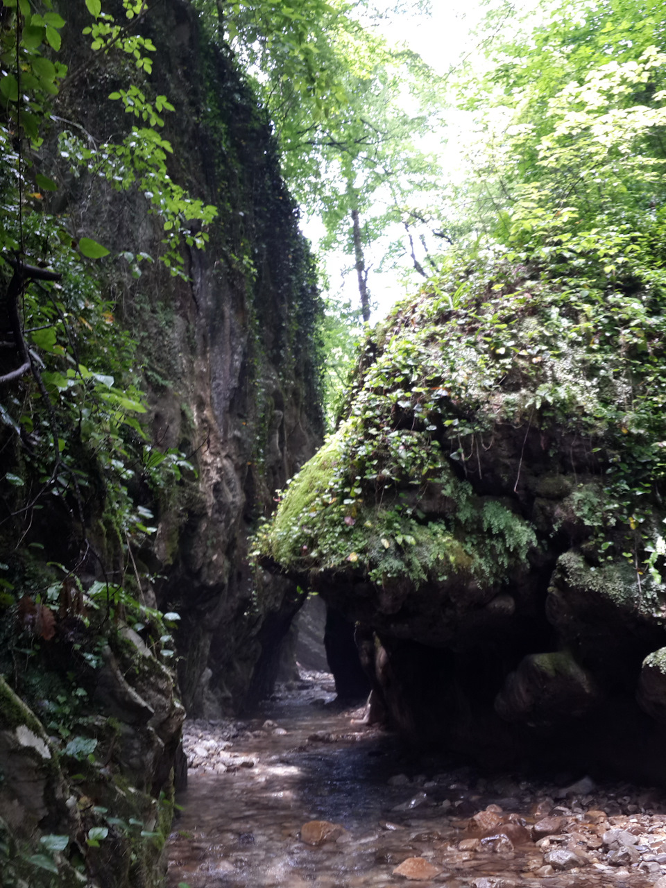 541eee9s 960 Мамедово ущелье лазаревское как добраться самостоятельно