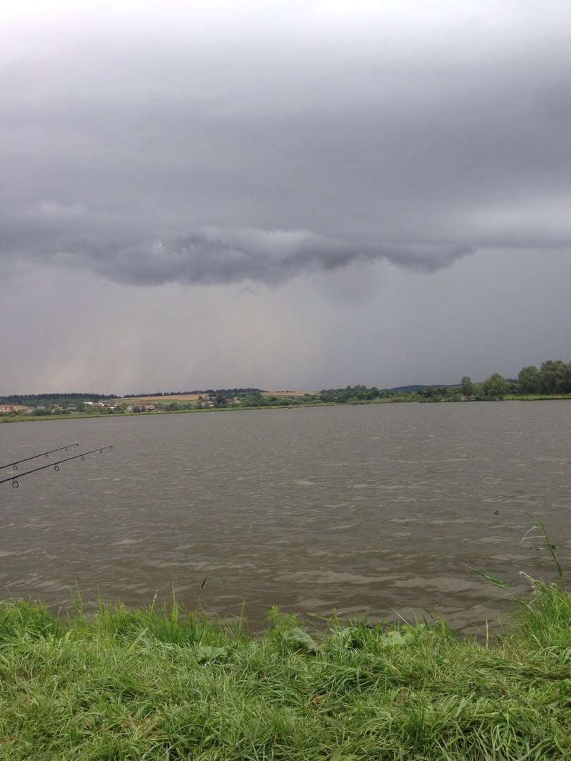 Черняховские пруды железногорск. Карпик. Пруд черняховский (логойский р-н). Шашлык на рыбалке. Пруд черняховский (логойский р-н).